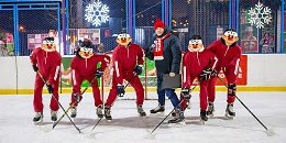 �����������