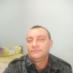 ���������, 39 ���, ���������