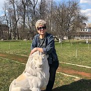 �������, 66 ���, ������