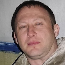 �������, �����������, 37 ���