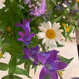 �������, �����-���������, 64 ����