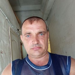 , 44, 