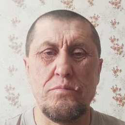 ����, ������, 41 ���