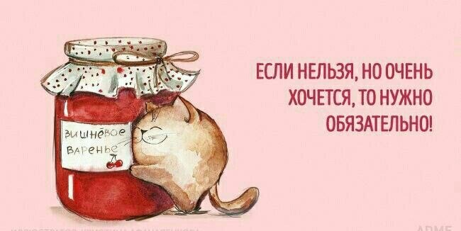 ♥ - 8  2024  06:04