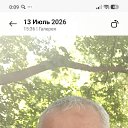 ���� ������, ������, 41 ��� - ��������� 1 ������� 2026