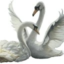 ���� ������, ����� - ��������� 10 ������� 2025