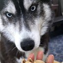 ���� �������, ������ - ��������� 6 ������� 2026 � ������ ������ ��������