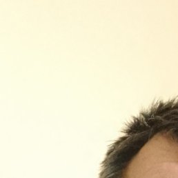 �����, ���, 51 ���