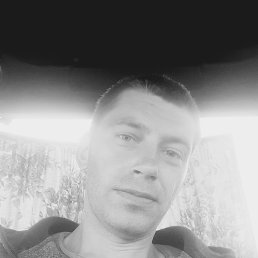 , 29, 