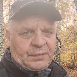 �����, ������, 71 ���