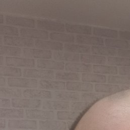 ��������, ���������, 49 ���