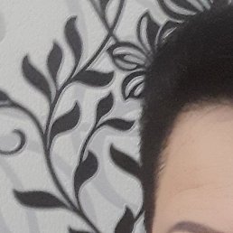 �������, ����������, 48 ���