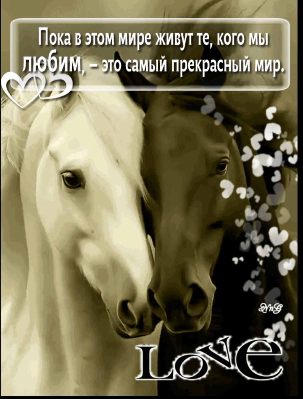 ���� - 1 ������ 2026 � 00:37