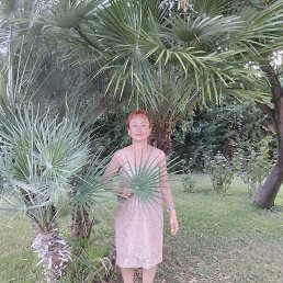 , 59,  