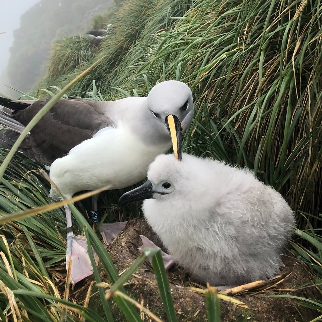      - ,        . ... - 3