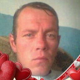 ������ ��������, �����-���������, 46 ���