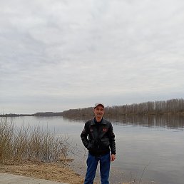 �����, ������, 50 ���