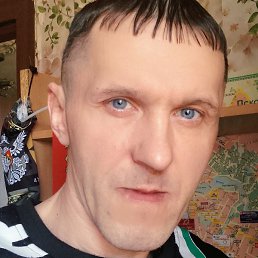 ����, �����-���������, 46 ���