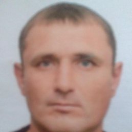 ����, 40 ���, ����������