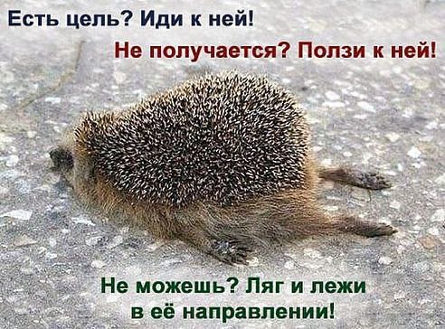  = ^_^ =  - 25  2024  22:48
