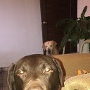 ���� �����, �������������, 40 ��� - ��������� 29 ������ 2023 � ������ ���� ����������