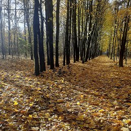 ���� �����, ����� - ��������� 23 ������� 2024