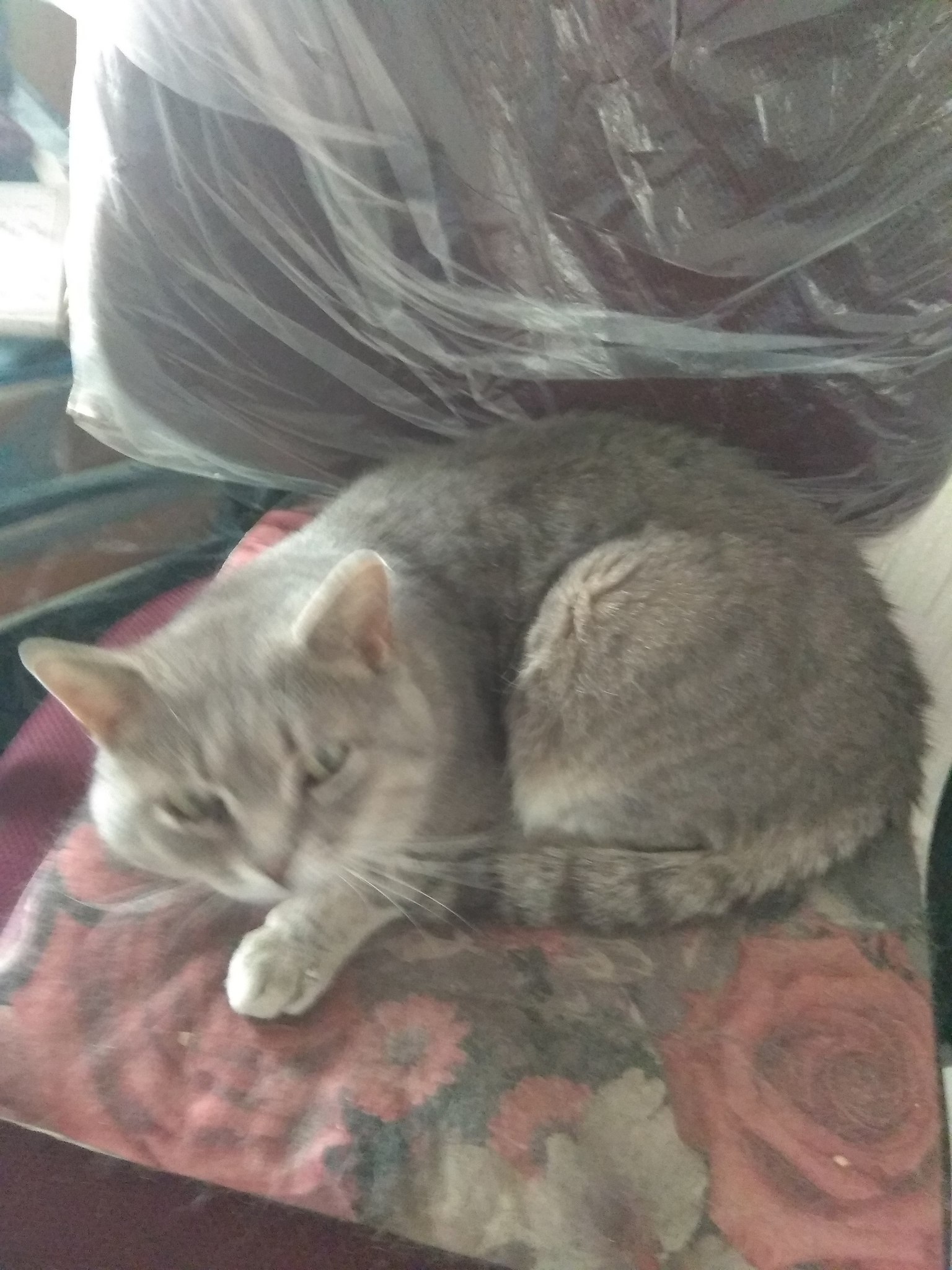 ������� - 15 ������ 2025 � 13:36