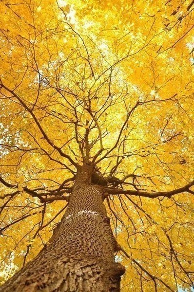    - 29  2024  12:13 - 3