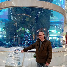 ���� ������ ��������, ������, 64 ���� - ��������� 5 ������� 2024