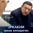 ���� ��������, �������, 36 ��� - ��������� 28 ������ 2024 � ������ ���� ����������