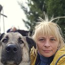 ���� E_lena, ������������, 50 ��� - ��������� 16 ����� 2026 � ������ ���� ����������