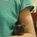 ���� �, ����� - ��������� 21 ������� 2024 � ������ ���� ����������