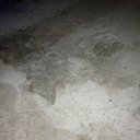 ���� ����, �������, 44 ���� - ��������� 16 ������ 2023 � ������ ���� ����������