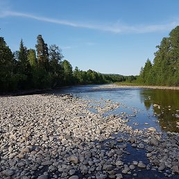 ����, ������