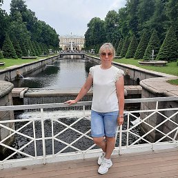 ����, �����-���������, 43 ����