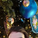 ���� ����, ������, 37 ��� - ��������� 14 ������ 2024 � ������ ���� ����������