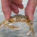 ���� ��������, �������, 58 ��� - ��������� 2 ������ 2025 � ������ ���� ����������