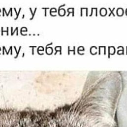 �����, ������ ��������, 51 ���