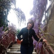 ���, 36 ���, �����������