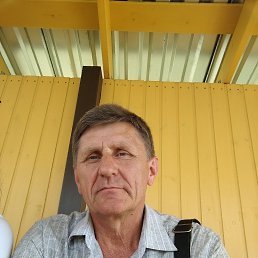 , 56, 