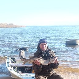 ����, �������, 38 ���