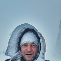 , 46, 