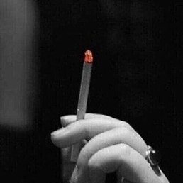 � ��, ������, 33 ����