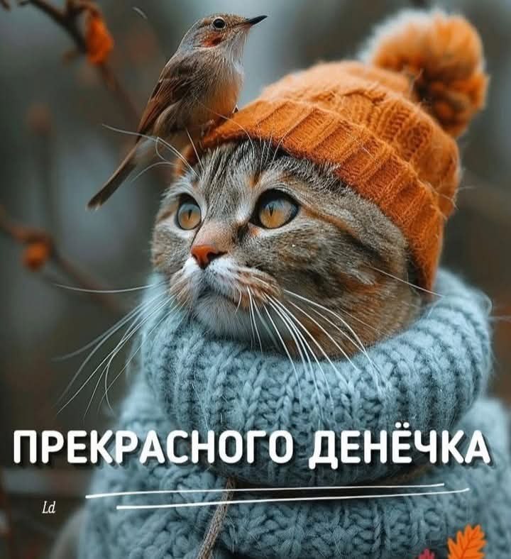 :)