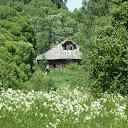 ���� ���������, �����, 55 ��� - ��������� 8 ����� 2025 � ������ ���� ���������� �����