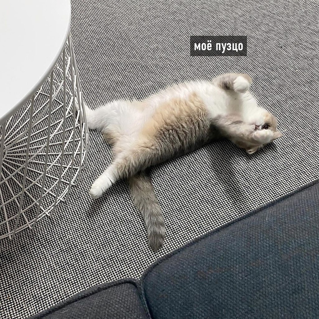 � ���� ������ ���������) - 3