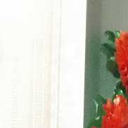 ������, 45 ���, ������