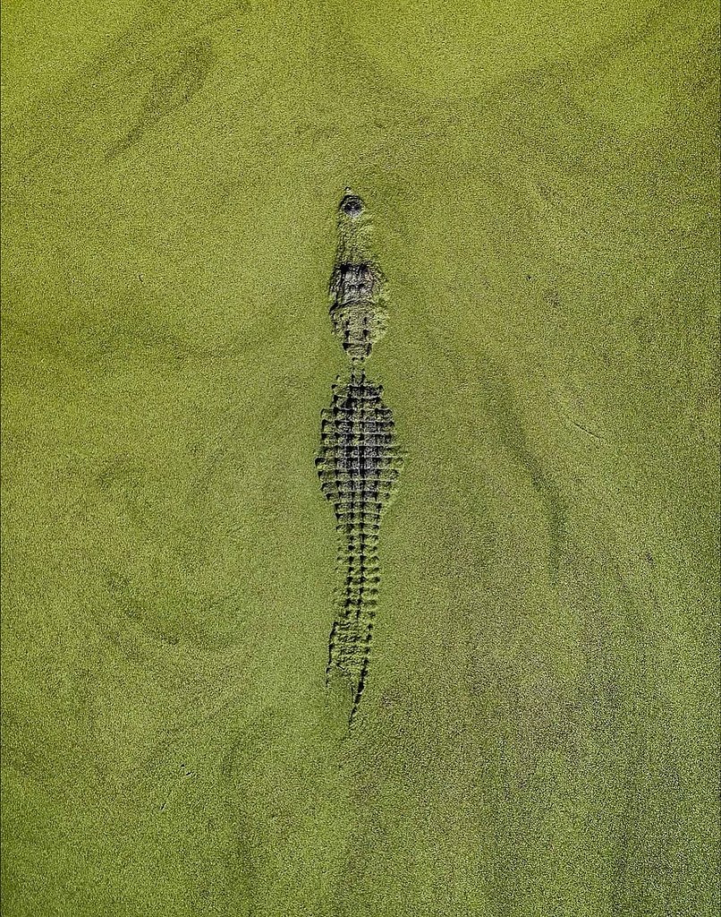 Abstract Aerial Art          ,   ... - 2