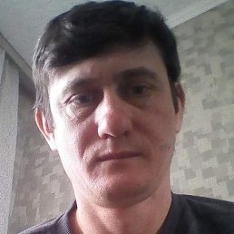 ����, ����, 43 ����