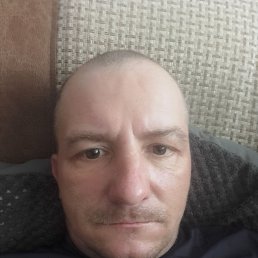 , 40, 